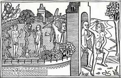 De Val van de Mens, illustratie uit de Quentell Bijbel, gepubliceerd in 1478 door German School